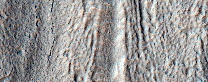 Gullies in Crater West of Newton Crater
