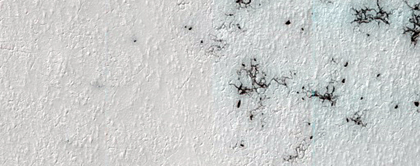 Spiders on Ejecta Blanket
