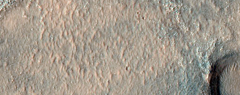 Intersecting Branched Curved Ridges and Ridge Segments
