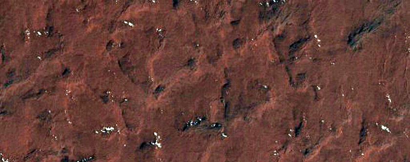 Spider on Edge of South Polar Layered Deposits

