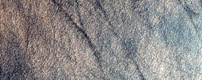 Rim of Darwin Crater
