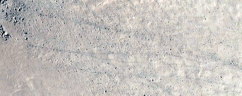 Gullies in Southern Mid-Latitude Crater
