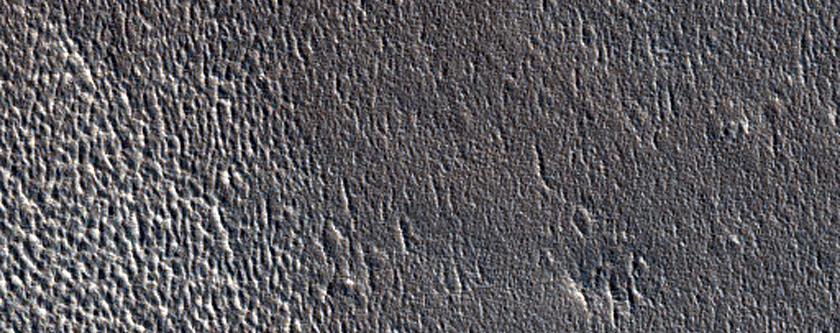 Northern Plains
