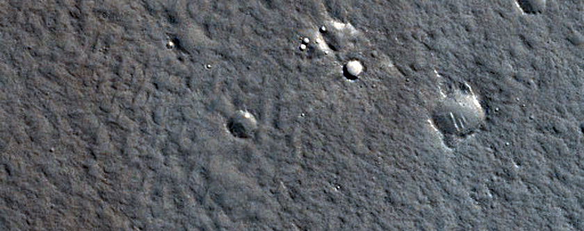 Utopia Planitia
