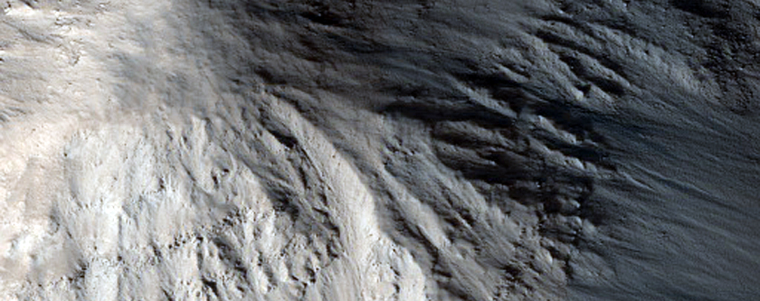 Lycus Sulci
