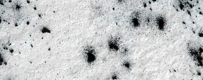 Spiders on Ejecta Blankets
