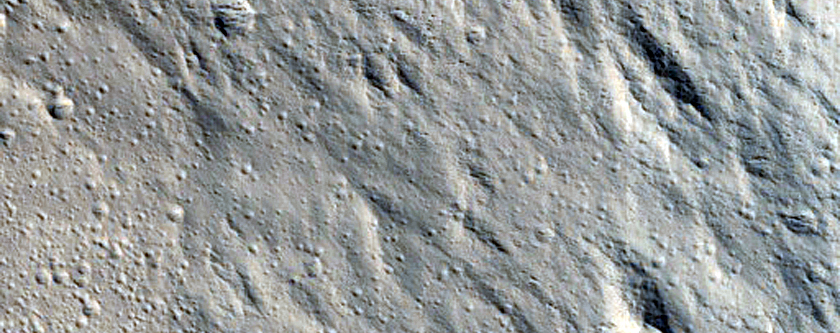 Olympus Mons Aureole