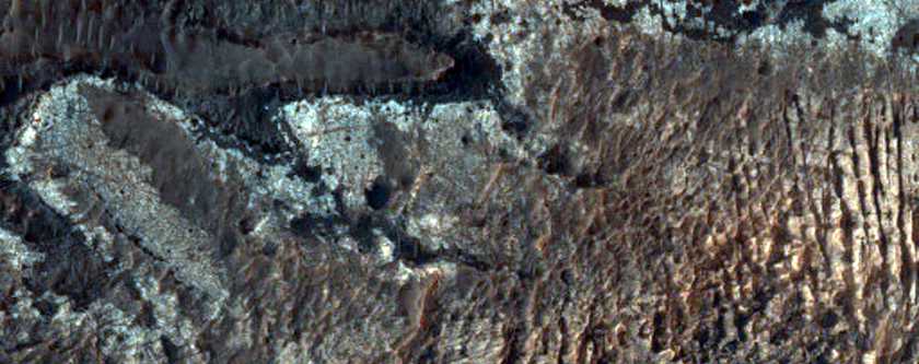 Light-Toned Exposed Terrain in Gorgonum Chaos Basin
