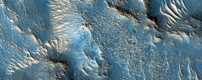 Flows Northwest of Elysium Mons
