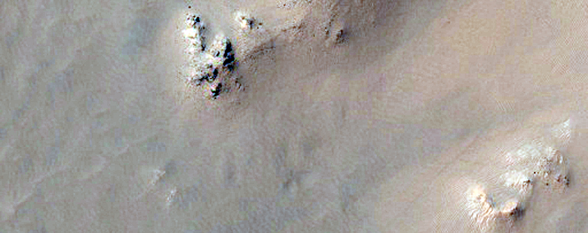 Gully Monitoring
