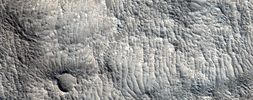 Overbank Deposit from Hrad Vallis
