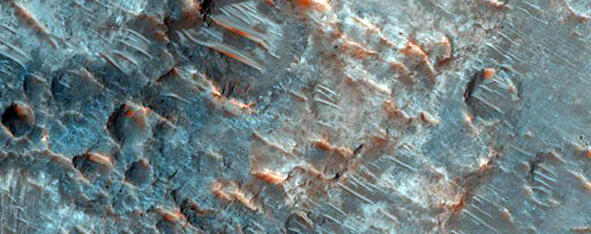 Channels and Fans in Savich Crater
