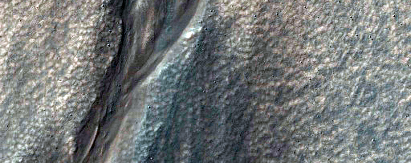 Gully Monitoring

