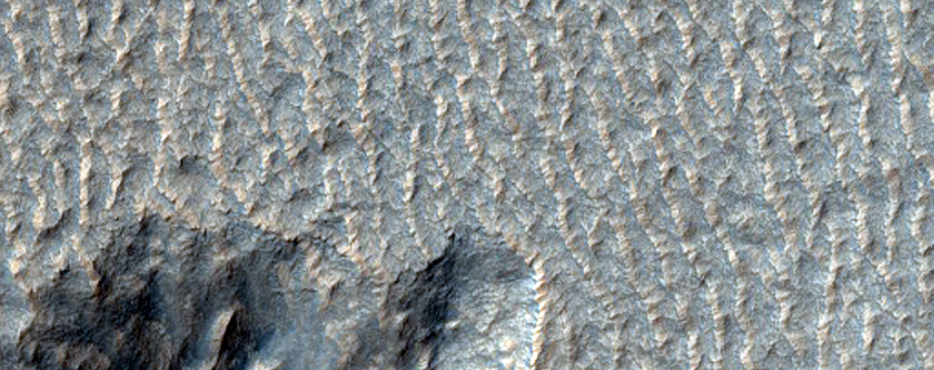 Terraced Crater in Southern Mid-Latitudes
