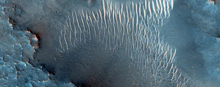 Nili Fossae
