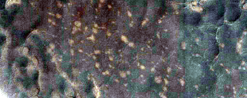 USGS Dune Database Entry Number 1501-738
