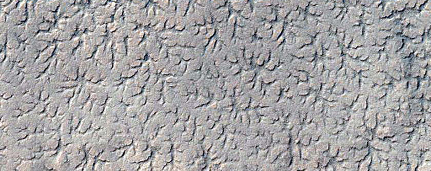 Spiders on Layers
