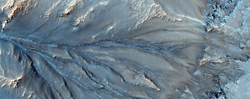 Slope Features in Palikir Crater
