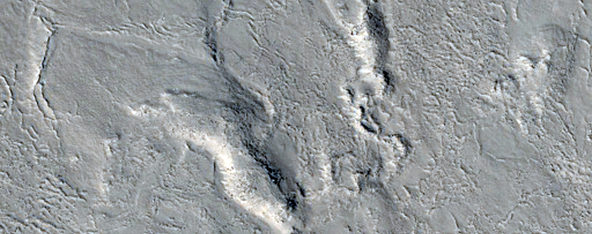 Wrinkle Ridge and Lava in Elysium Planitia
