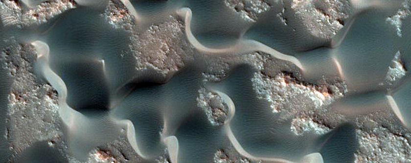 Dune Slopes
