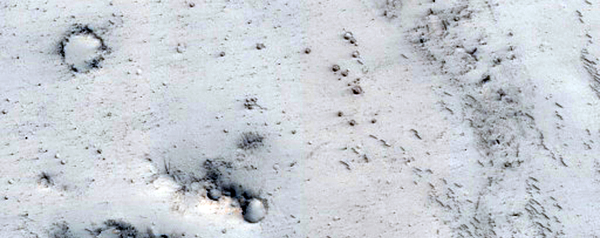 Cratered Cones with Wakes in Tartarus Montes
