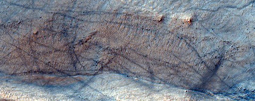 Isolated Gully in Crater in Noachis Region
