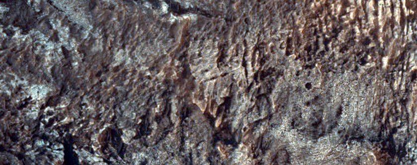 Light-Toned Exposed Terrain in Gorgonum Chaos Basin
