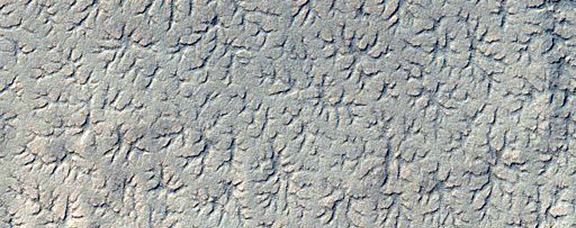 Spiders on Layers
