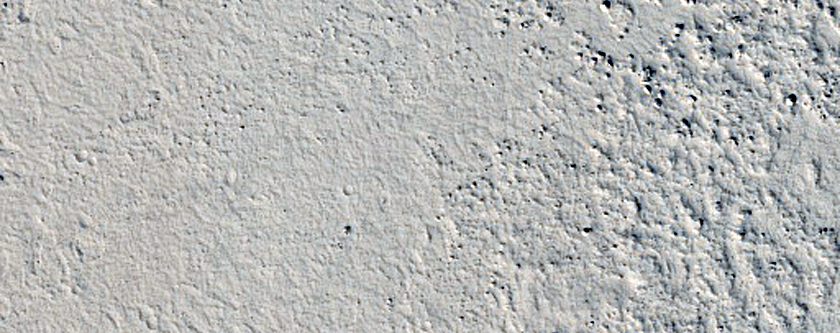 Lava Flows in Elysium Planitia

