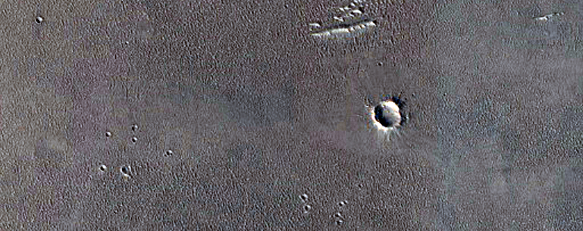 Monitoring New Impact Site
