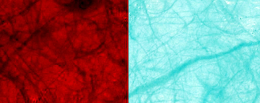Terrain in Darwin Crater
