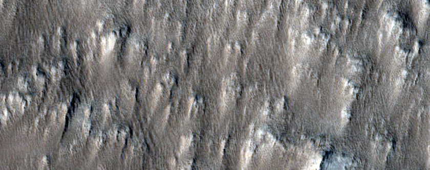 Dusty Flows on Flanks of Olympus Mons
