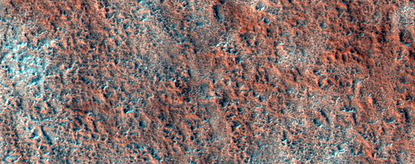 Layered Crater Deposits in Protonilus Mensae
