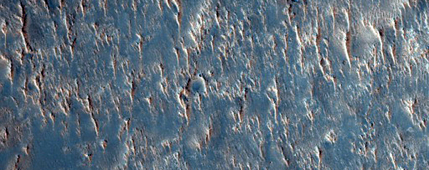 Daedalia Planum
