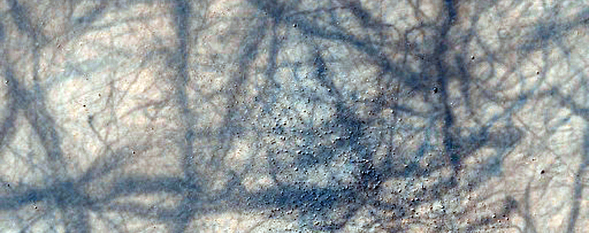 Southern Terrain Sample
