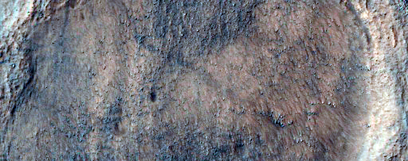 Mid-Latitude Terrain Sample
