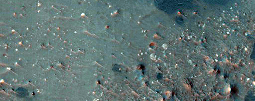 Candidate Landing Site for 2020 Mission in Eberswalde Crater
