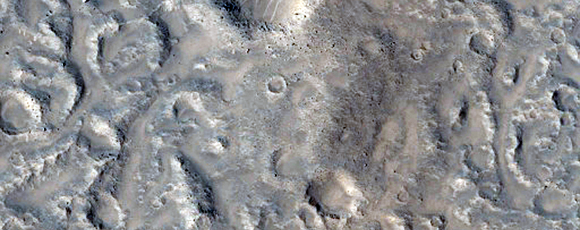 Terrain Sample
