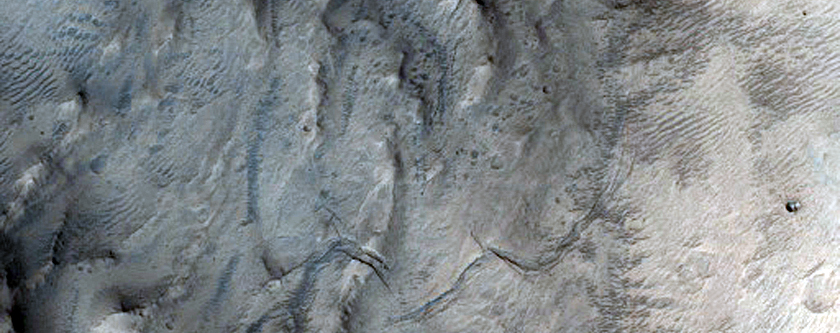 Channel Networks on Wall of Crater in Arabia Terra
