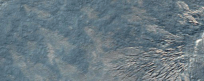 Spider Topography
