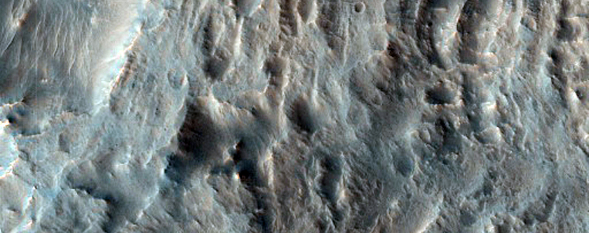 Terminal Lobes of Landslide or Large Debris Flow in Melas Chasma
