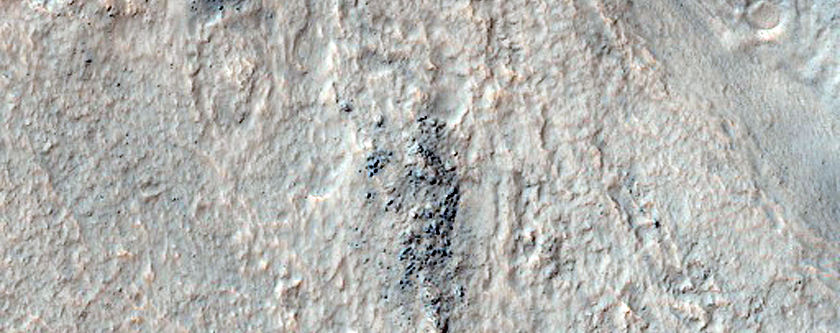 Gullies in Crater in Noachis Terra 
