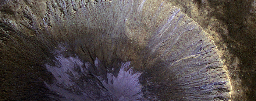 A Winter’s View of a Gullied Crater