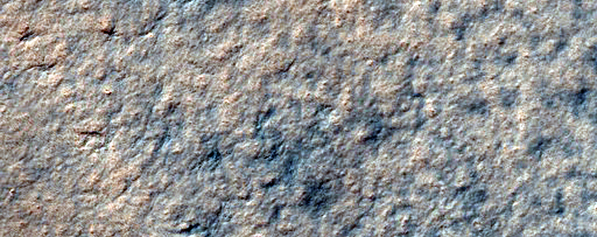 Spiders on Ejecta Blankets
