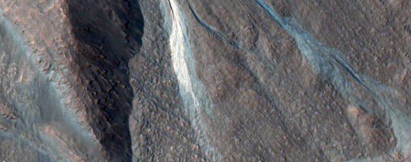 Gullies in Northwest Slope of Hale Crater
