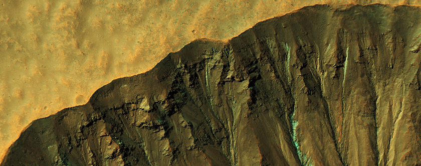 Small Crater with Gullies
