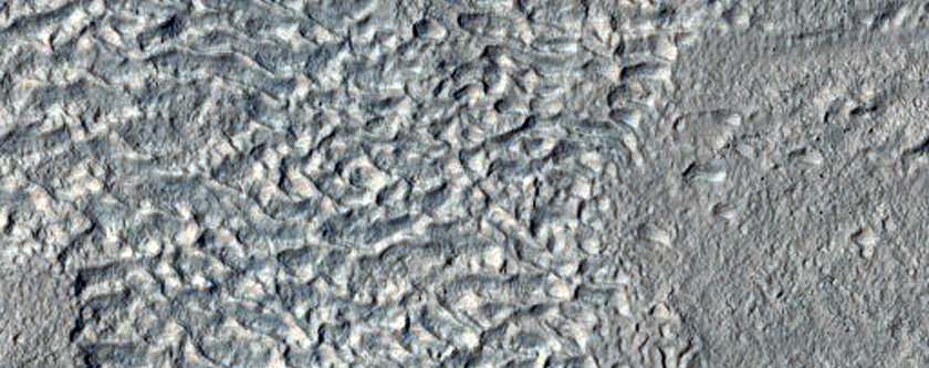 Gullies in Crater in Terra Cimmeria
