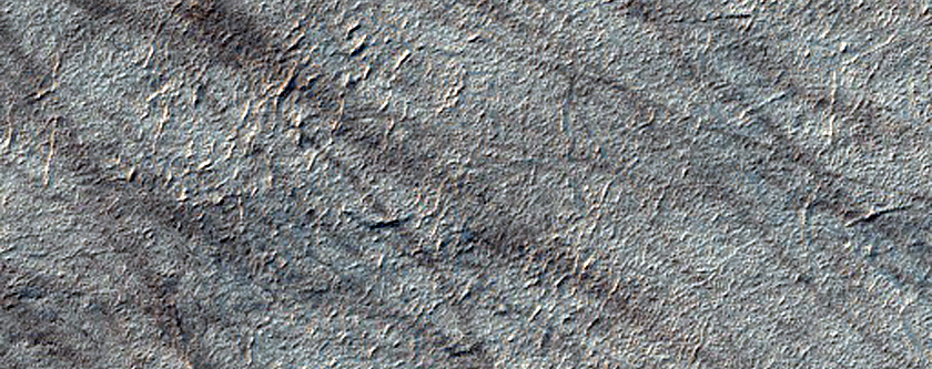 Spider Terrain Not on South Polar Layered Deposits
