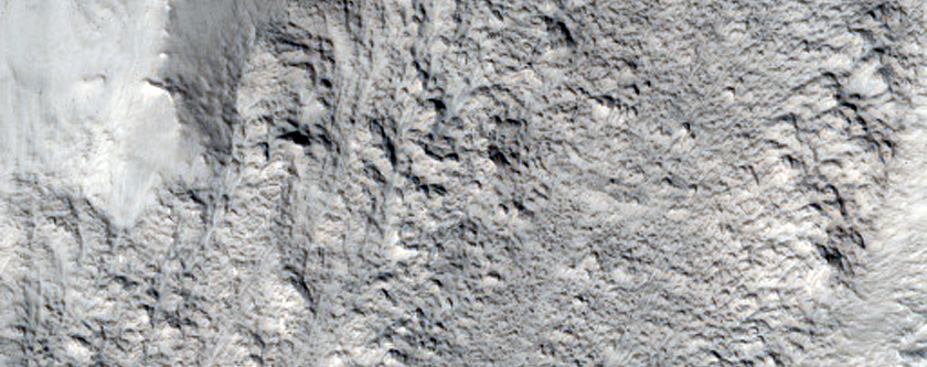 Flow on Side of Mesa in Protonilus Mensae
