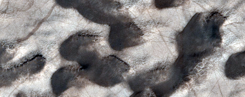 Floor of Burroughs Crater
